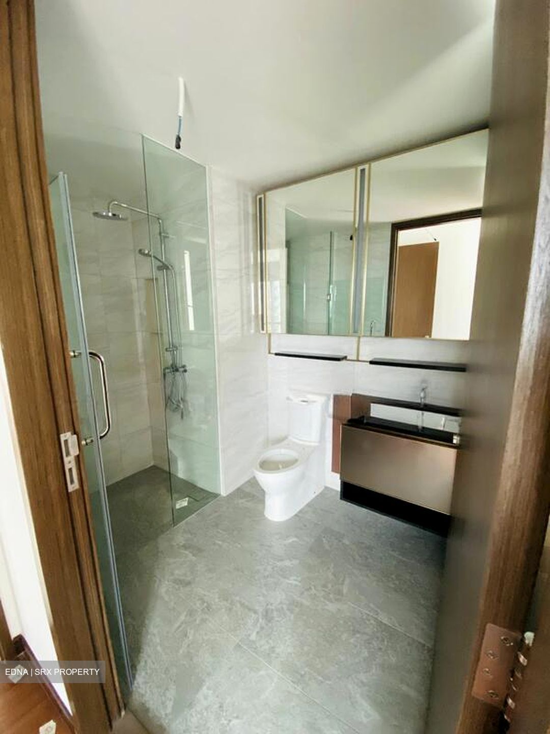 Normanton Park (D5), Apartment #544412111